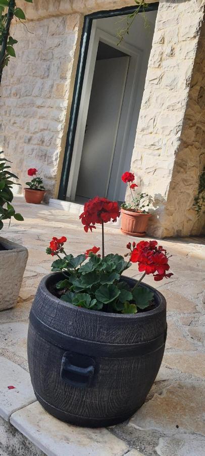 Holiday Home Jakov Bibinje Luaran gambar